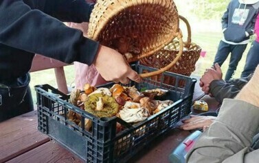 IMG20240929112347 (Copy)
