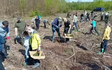Po raz kolejny zasadziliśmy las (Copy)