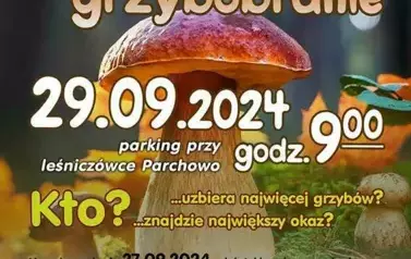 grzybobranie2024_www (Copy)