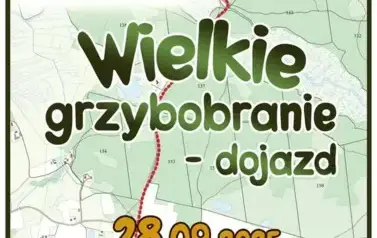 grzybobranie2025_mapa_fb (Copy)