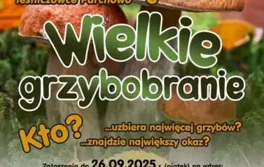 grzybobranie2025_fb (Copy)