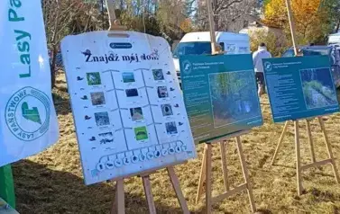 IMG20251019121952 (Copy)