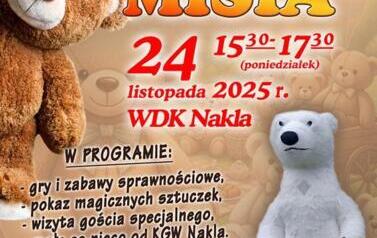 dzien_misia_2025_fb (Copy)