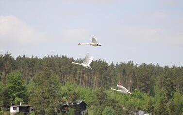 IMG_9997 (Copy)