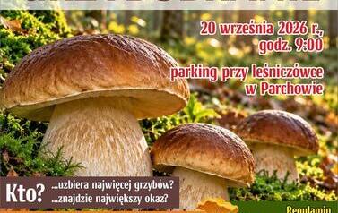 GRZYBORBRANIE 2026 (Copy)