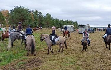 IMG20261018132316 (Copy)