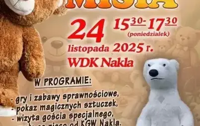 Zdjęcie do DZIEŃ PLUSZOWEGO MISIA W NAKLI