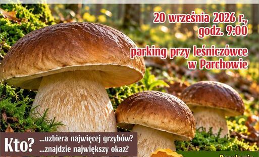 Zdjęcie do WIELKIE GRZYBOBRANIE W GMINIE PARCHOWO