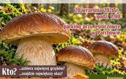 Zdjęcie do WIELKIE GRZYBOBRANIE W GMINIE PARCHOWO